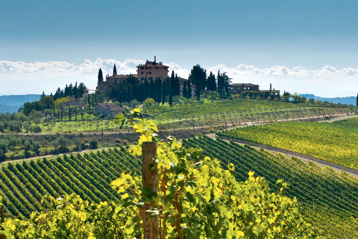 chianti classico luca gardini