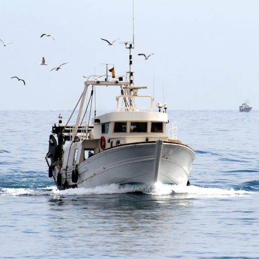 stop pesca adriatico