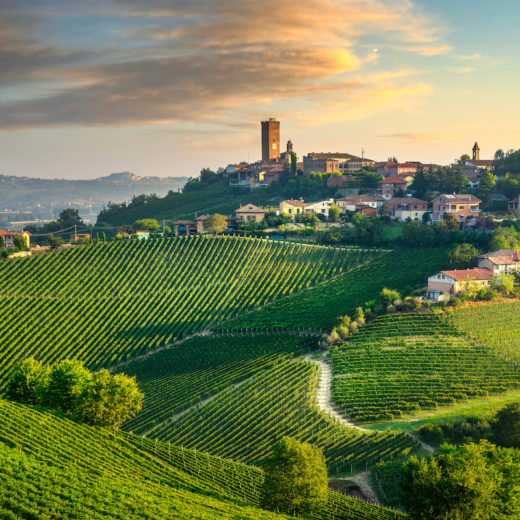 Barbaresco