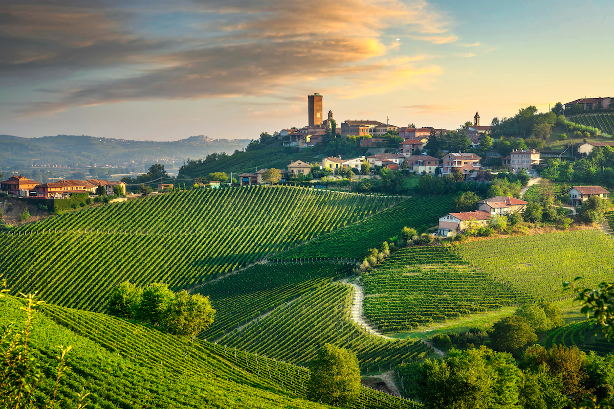 Barbaresco