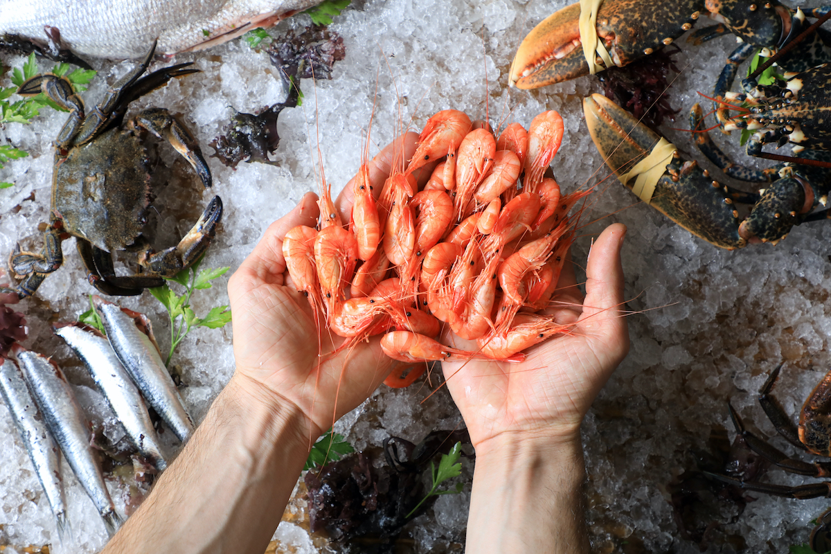 Menu di Natale a base di pesce salute