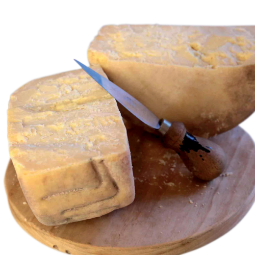 Bagòss formaggio