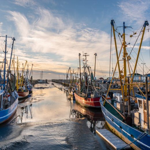 sfruttamento della pesca