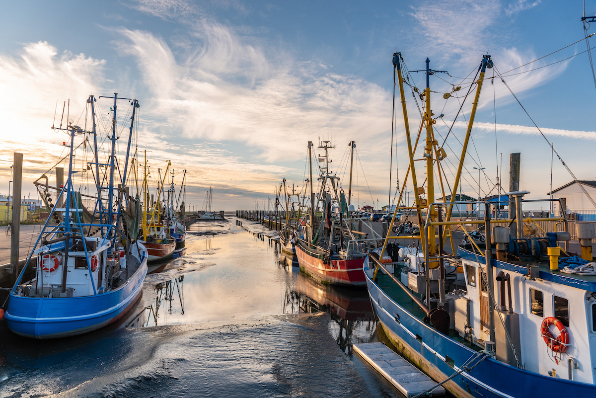 sfruttamento della pesca