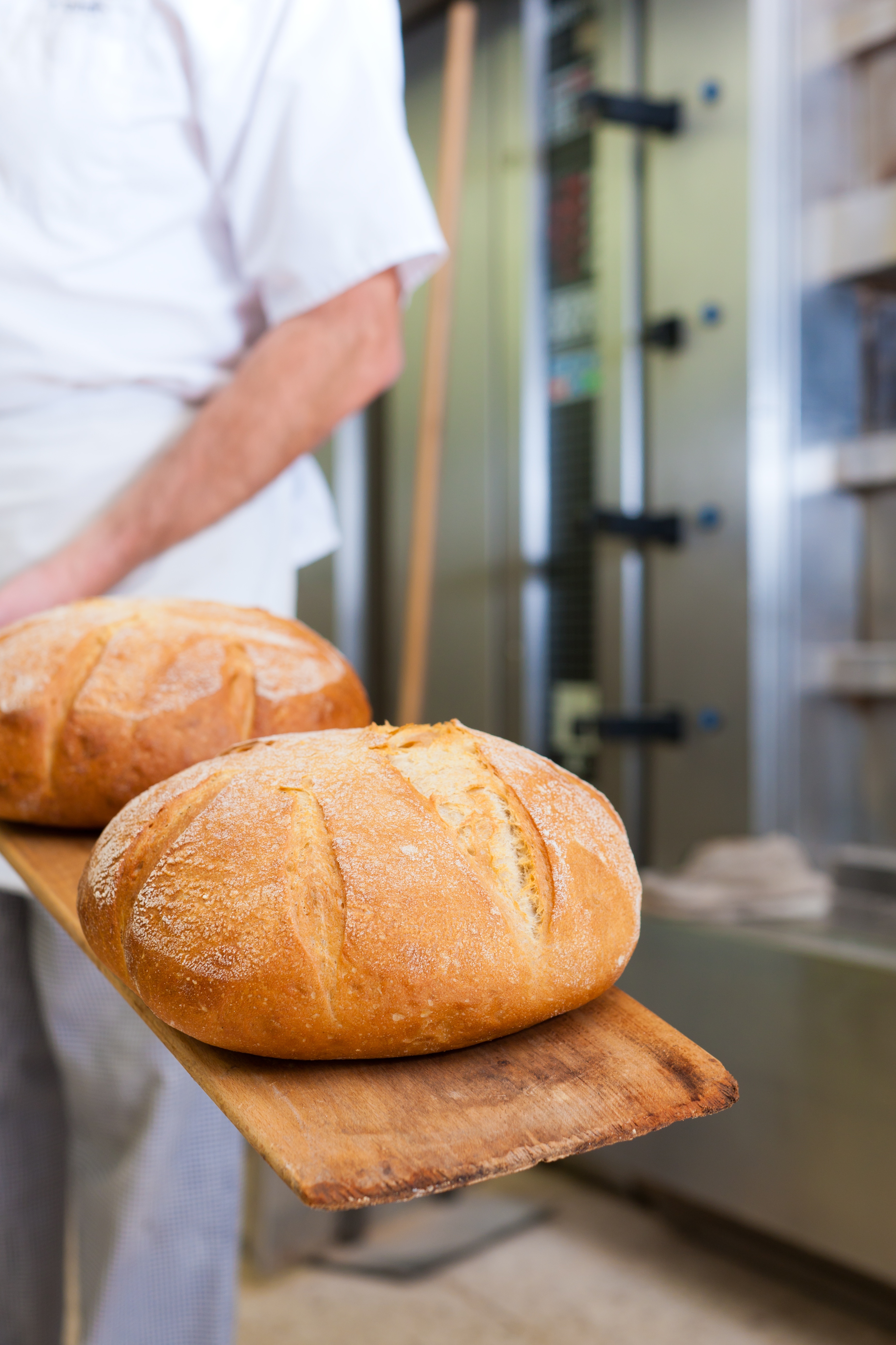Gastrodomus e l'armadio di fermalievitazione: l'alleato per la panificazione
