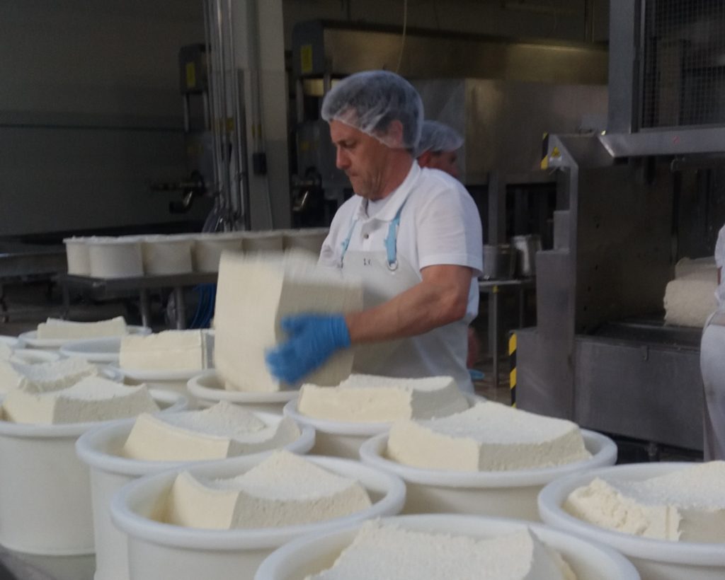 Il formaggio Piave: espressione della tradizione fatta di sapore e genuinità