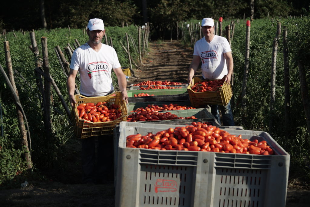 Ciao, il sapore vero del San Marzano del sud Italia