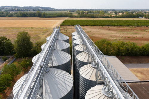 borzano silos molino denti