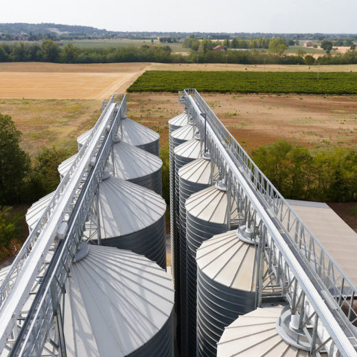 borzano silos molino denti