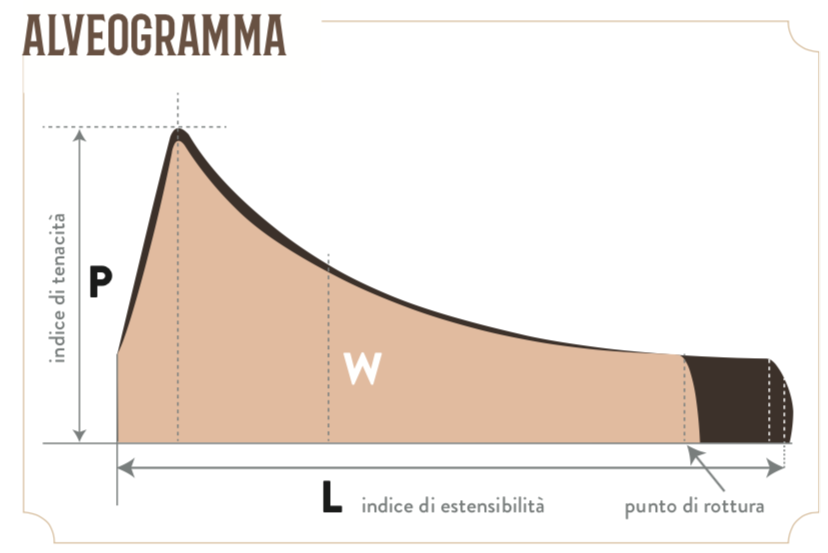 Alveografo di Chopin: alveogramma