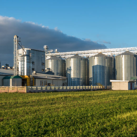 silos grano