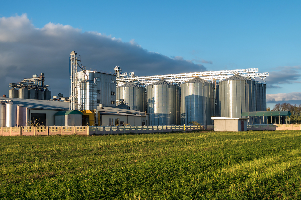 silos grano