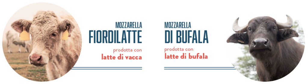 mozzarella fiordilatte bufala