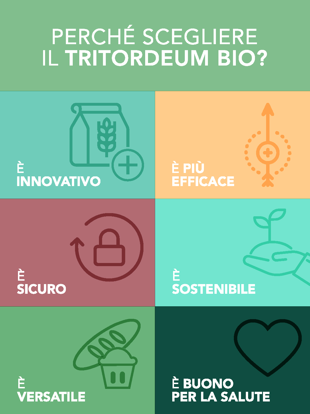 Benefici Tritordeum biologico