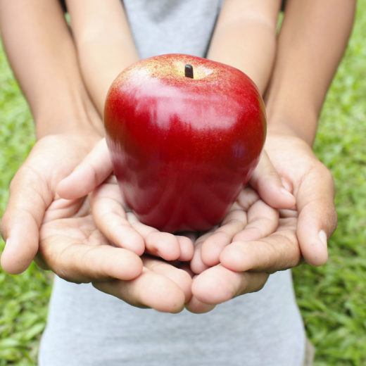 Giornata sicurezza alimentare