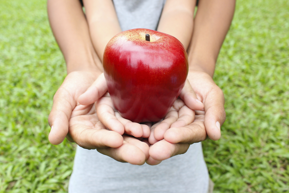 Giornata sicurezza alimentare