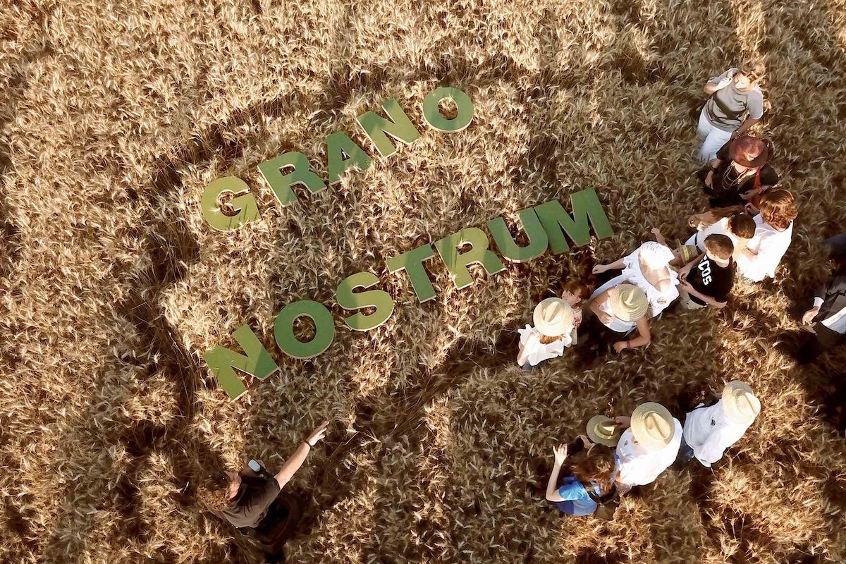 grano nostrum mulino Caputo 2019