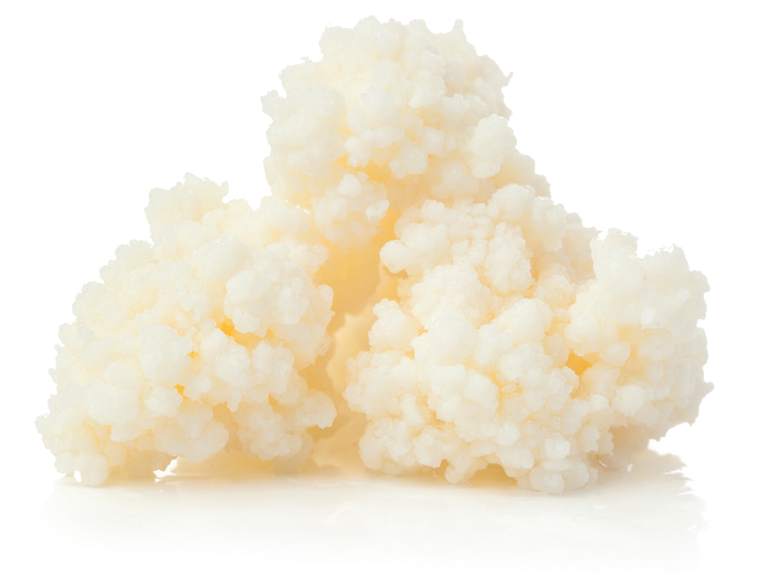 kefir ricco di probiotici