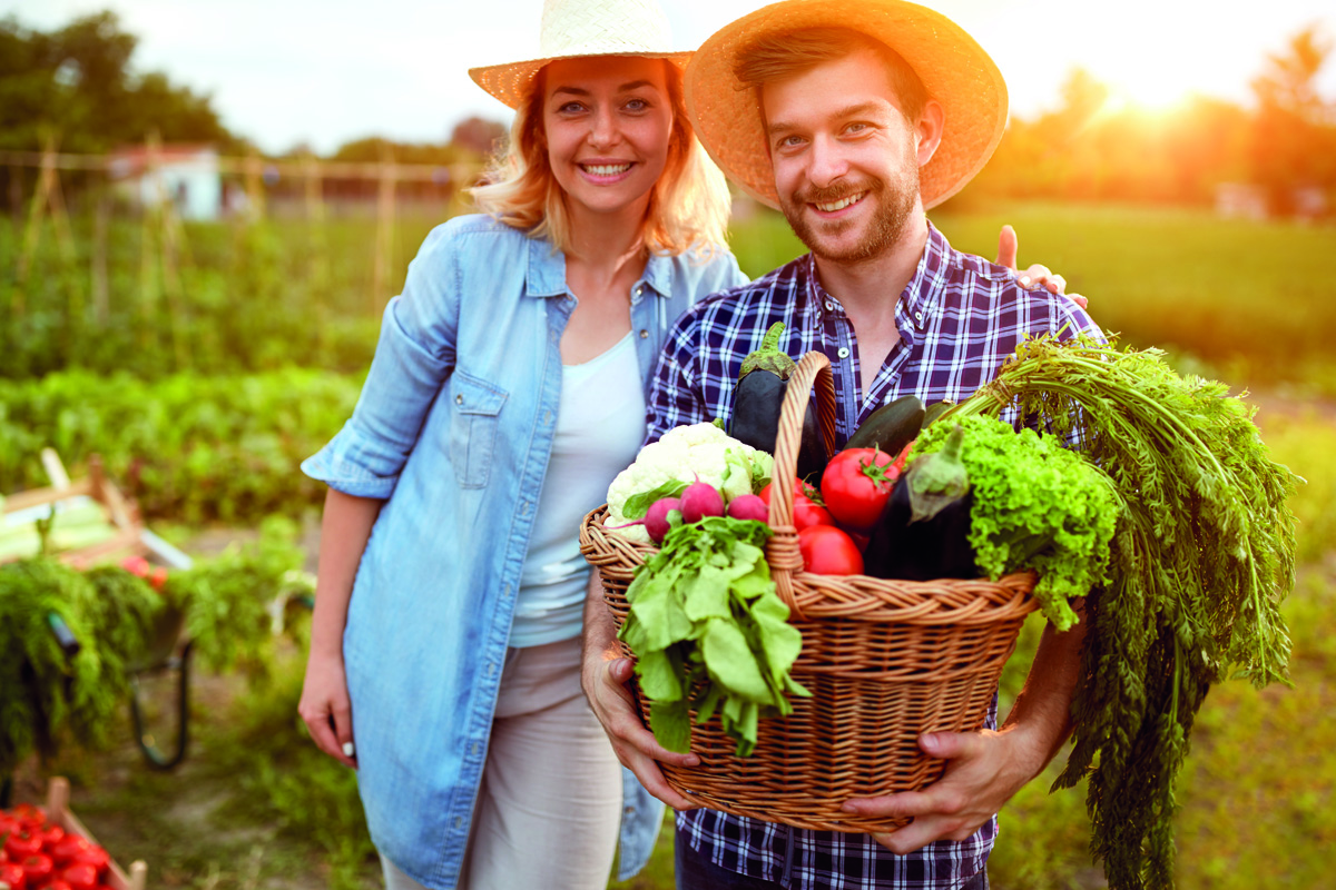 organic farming