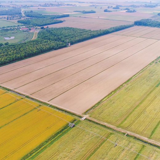 Primavera Oasi Villa Bruna Friuli