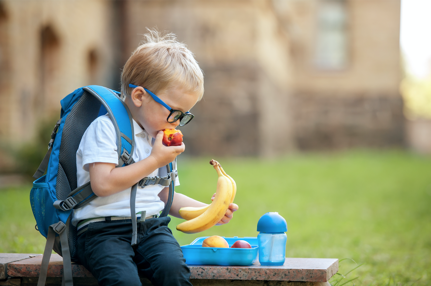 Bambino scuola