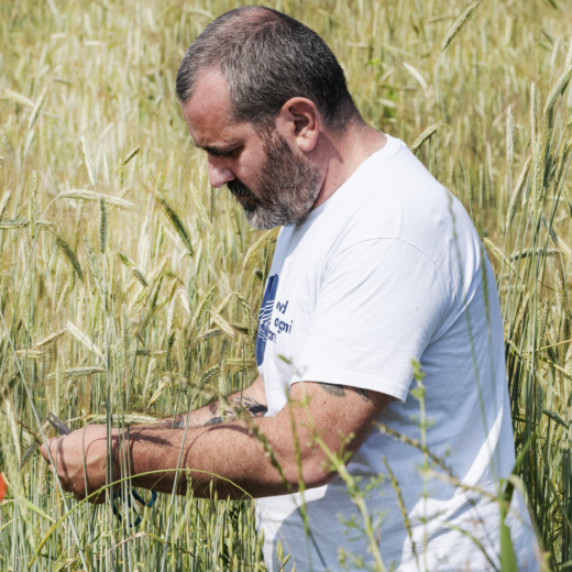 Davide Longoni Pane