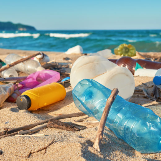 Plastic free certification ristorazione