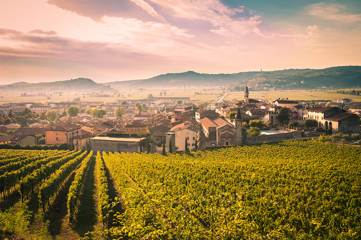 soave durello vitigno verona