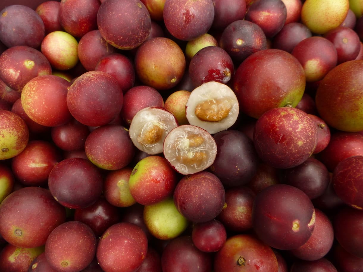 food trend 2021 camu camu