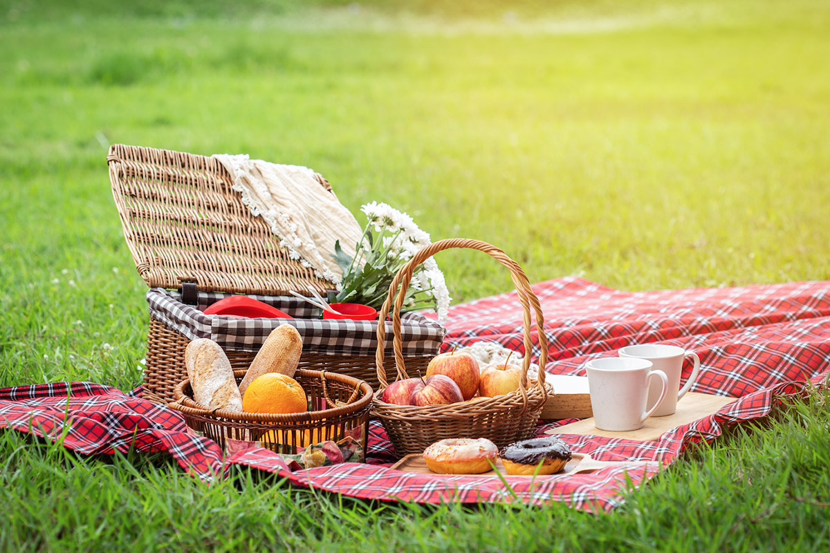 picnic