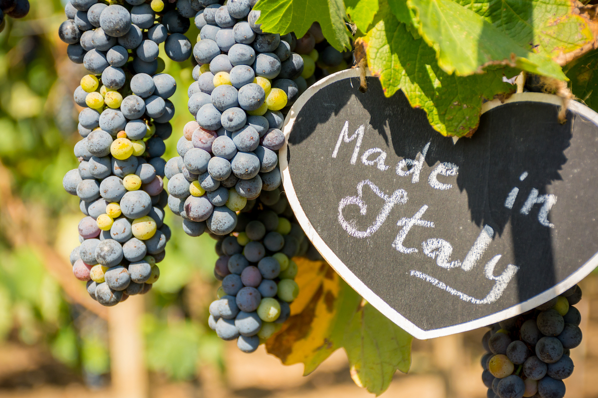 vino italia primo produttore