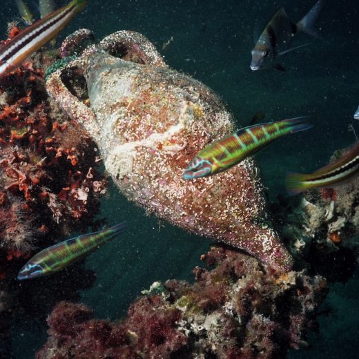 Vino che invecchia in mare