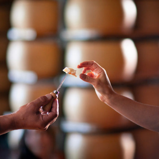 parmigiano reggiano