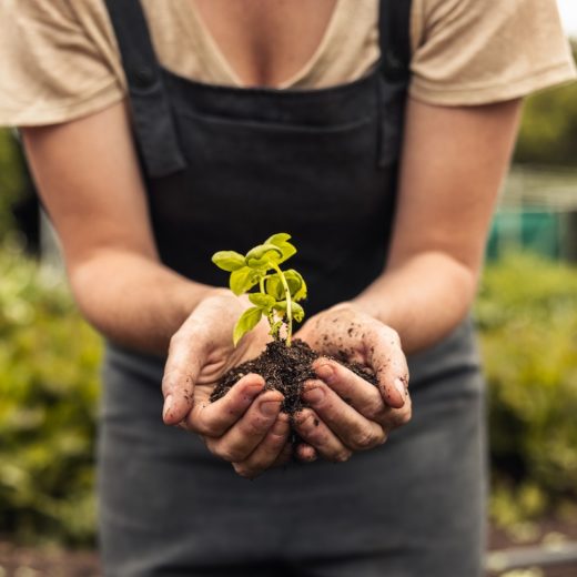 agroalimentare