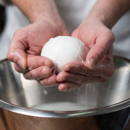 mozzarella di bufala