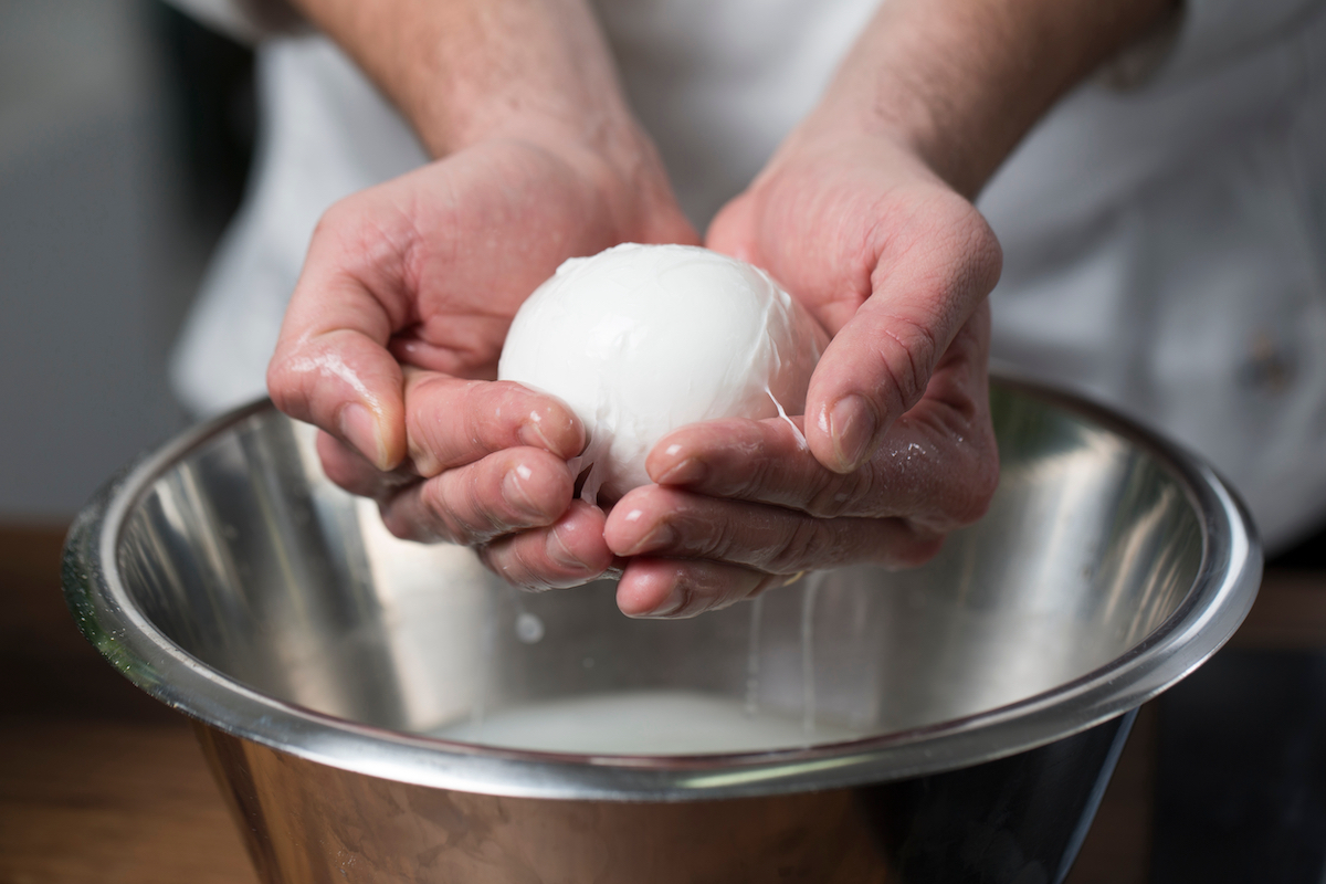 mozzarella di bufala