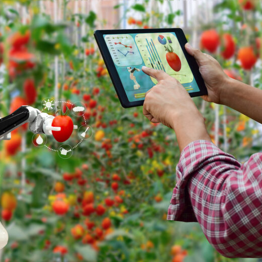 Intelligenza artificiale nell'agroalimentare