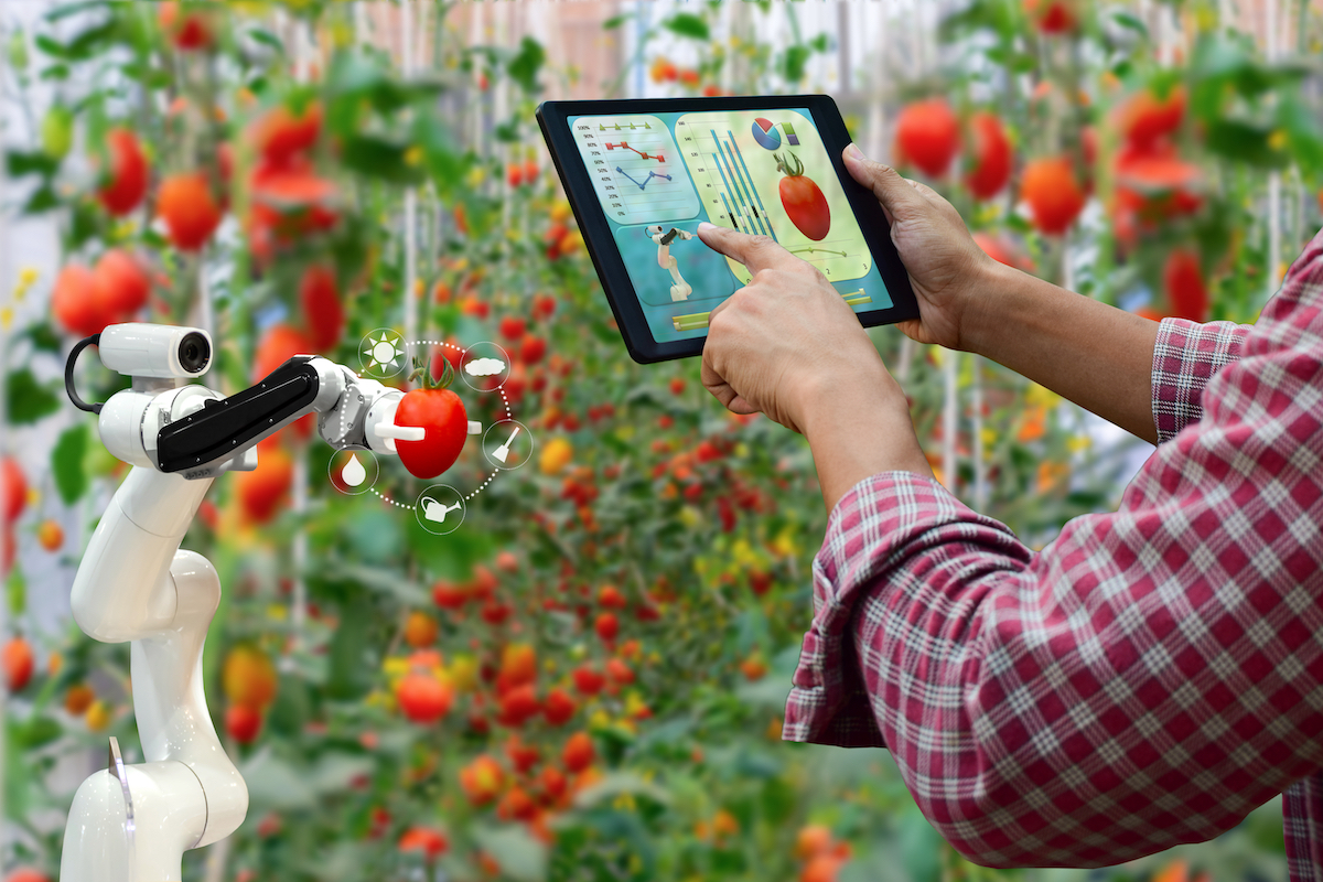 Intelligenza artificiale nell'agroalimentare