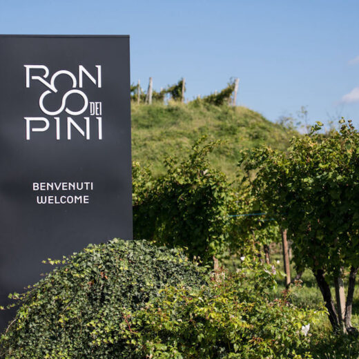 Ronco dei Pini