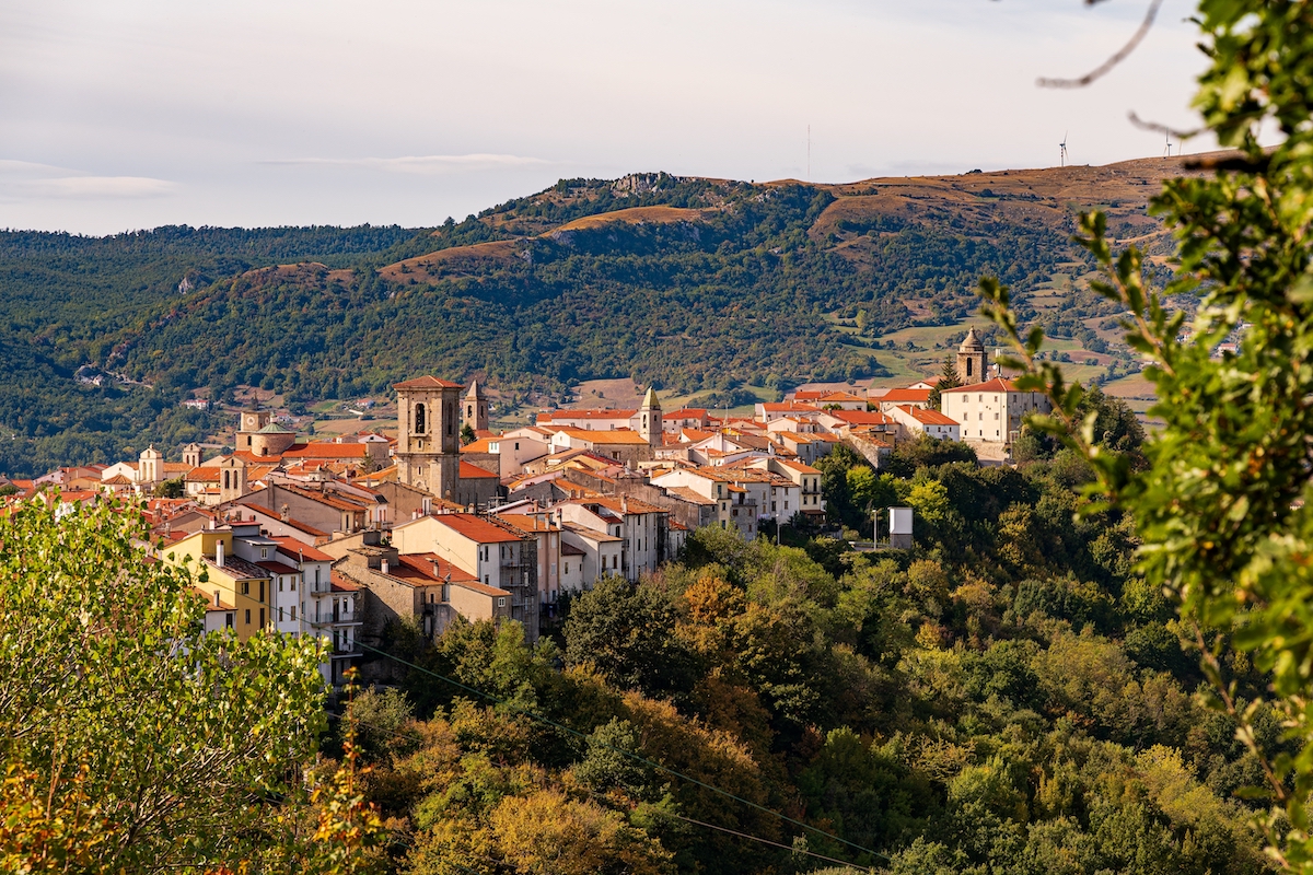 agnone Molise casearia