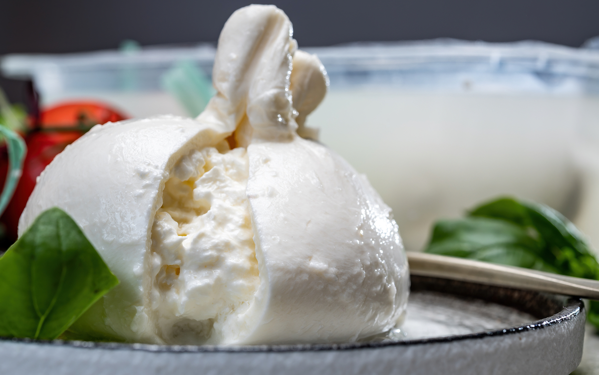 burrata export