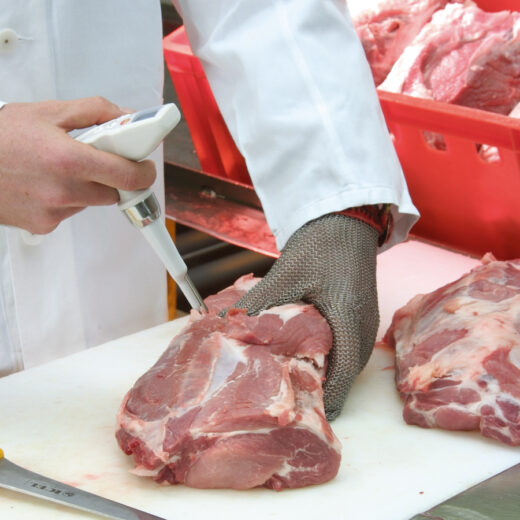 Testo conformità carne