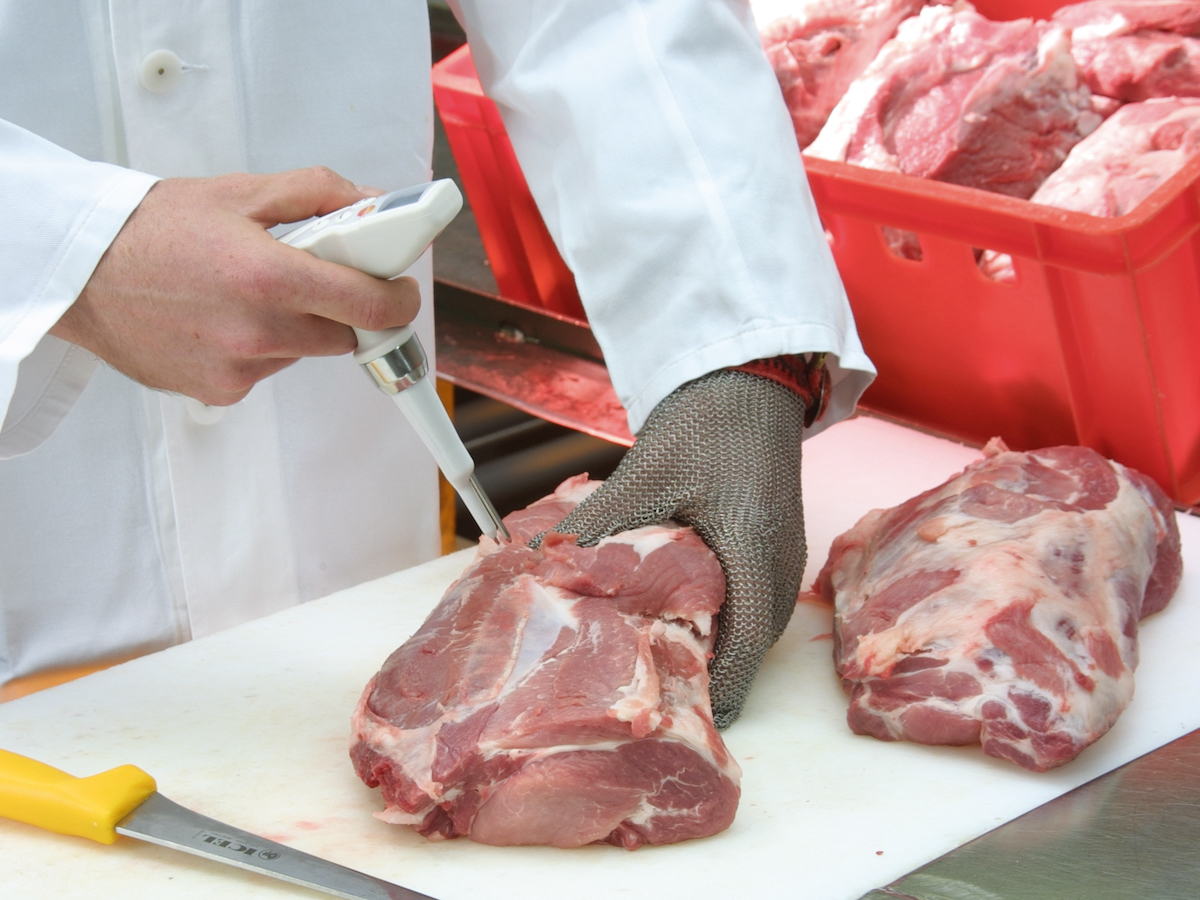 Testo conformità carne