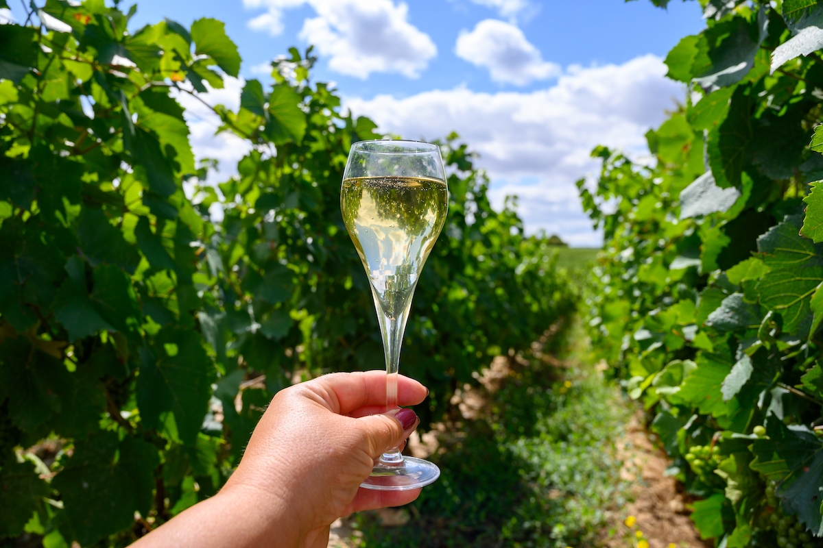 Bicchiere vino