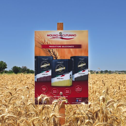 Oro Puro Molino sul Clitunno