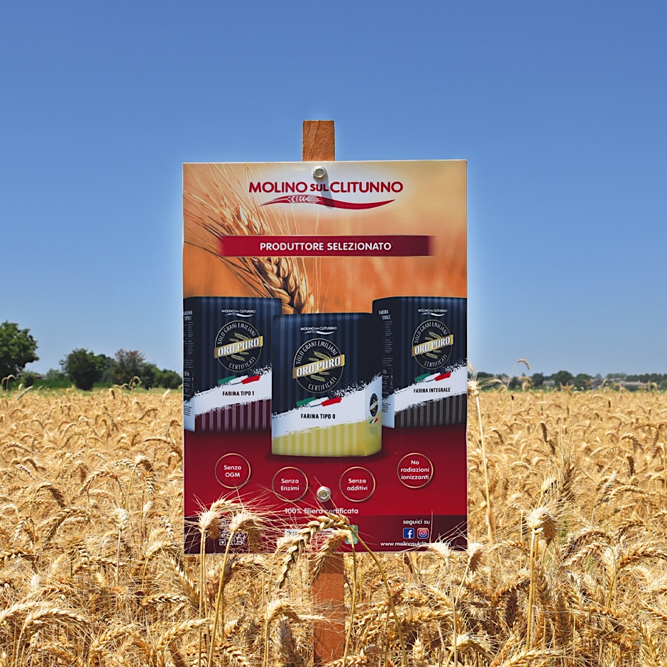 Oro Puro Molino sul Clitunno