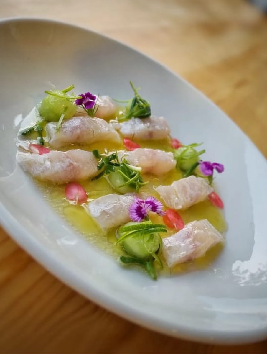 ceviche italiana ristorazione professionale