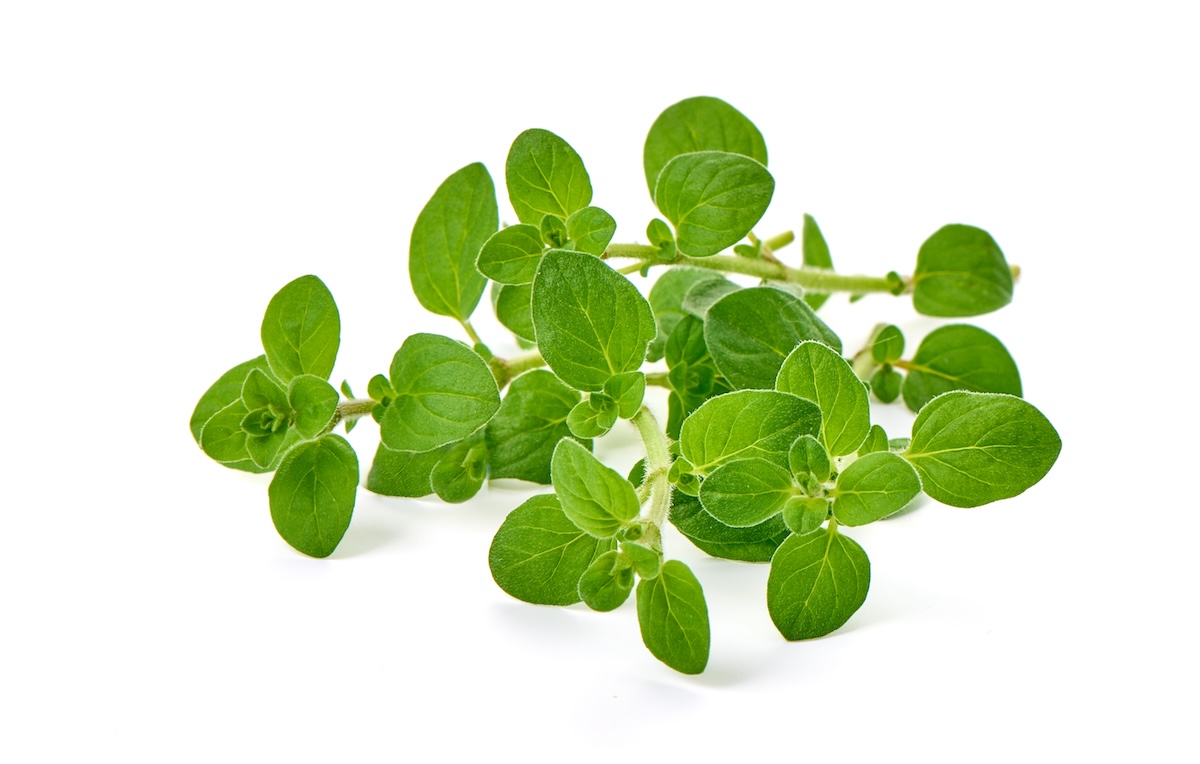 erbe aromatiche pizza