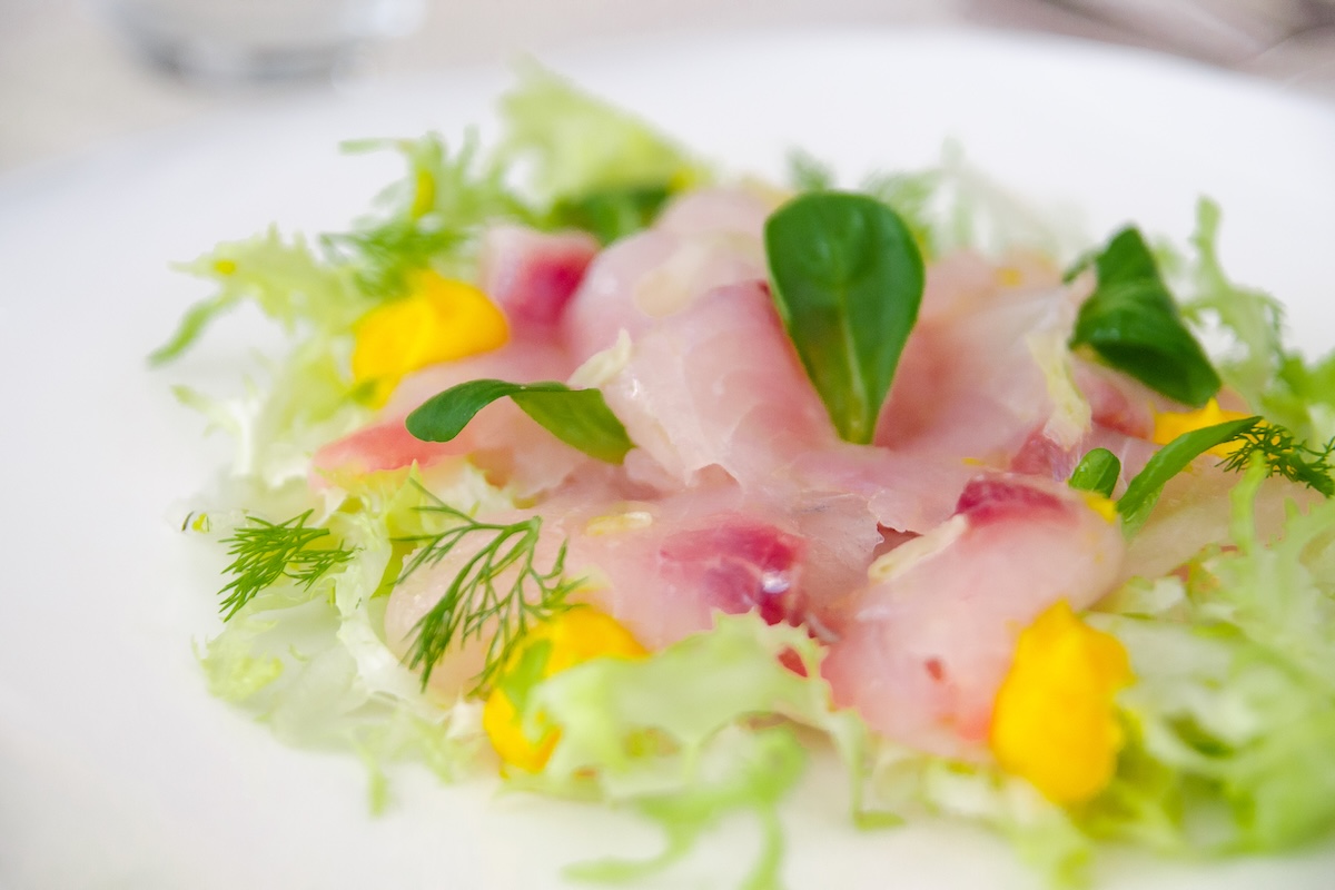 ricciola gourmet