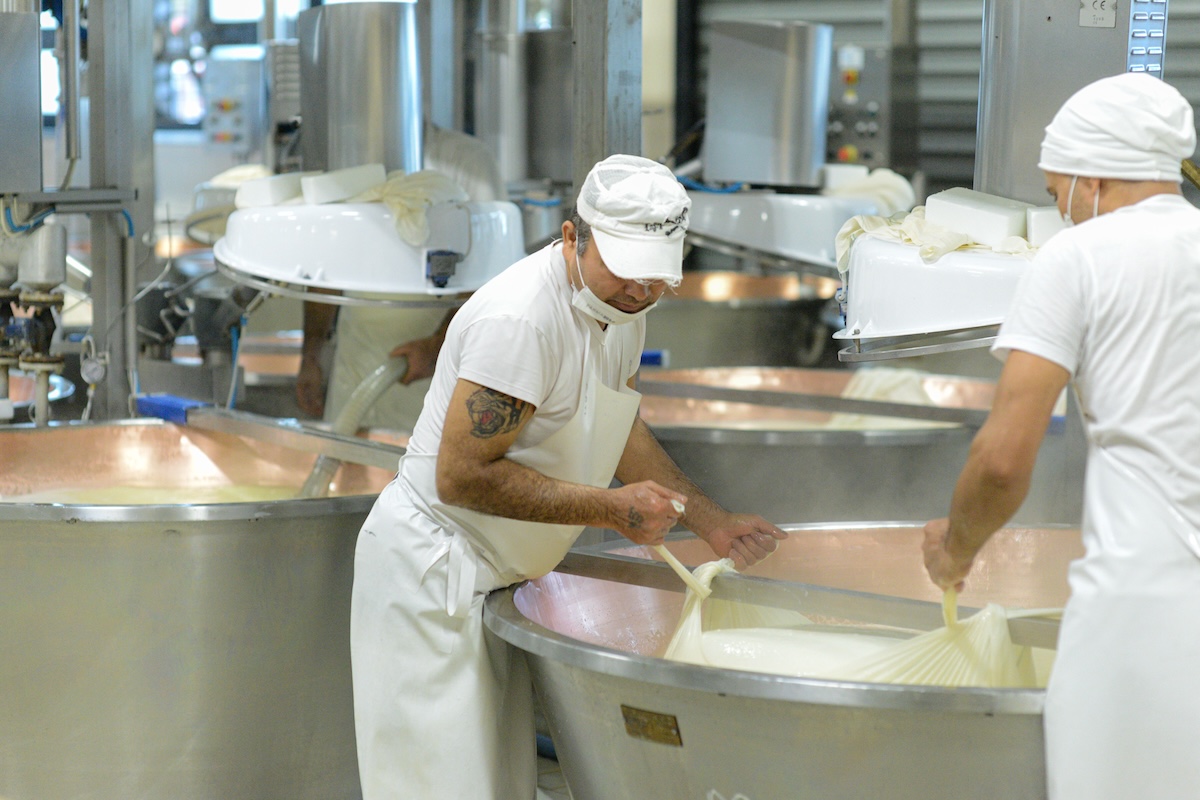 food export Made in Italy